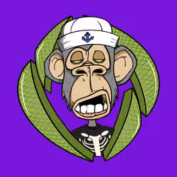 ENS Ape Yacht Club #3310