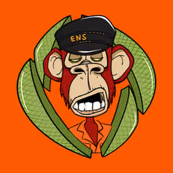 ENS Ape Yacht Club #8502