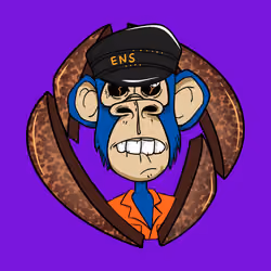 ENS Ape Yacht Club #6639