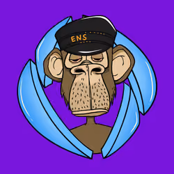 ENS Ape Yacht Club #6293