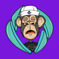 ENS Ape Yacht Club #8507