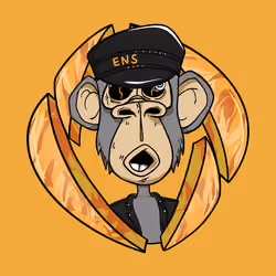 ENS Ape Yacht Club #3362