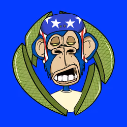 ENS Ape Yacht Club #8784