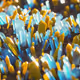9600010002