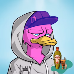 DuckyLucks 249