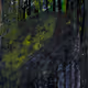 darknoov 1/1