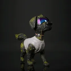 WoofPack #2377
