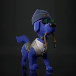 WoofPack #2010