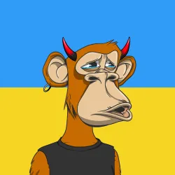 579