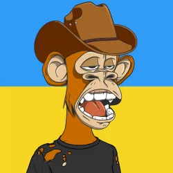 2051