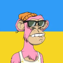 2055