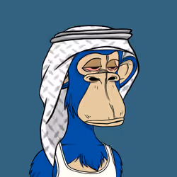 Habibi Ape Club #1986
