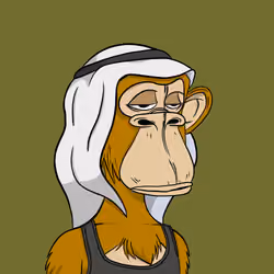 Habibi Ape Club #2120