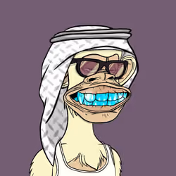 Habibi Ape Club #337
