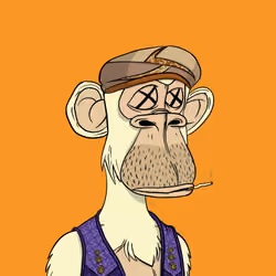 Habibi Ape Club #884