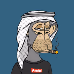 Habibi Ape Club #4058