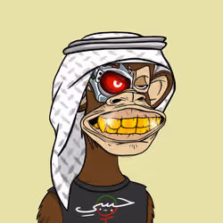 Habibi Ape Club #4312