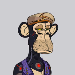 Habibi Ape Club #3345