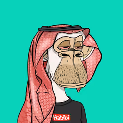 Habibi Ape Club #493