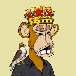 Habibi Ape Club #195