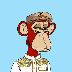 Habibi Ape Club #1541