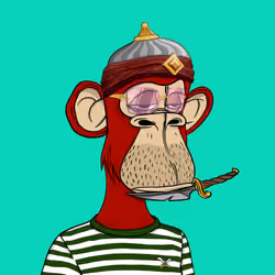 Habibi Ape Club #812