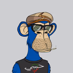 Habibi Ape Club #2644