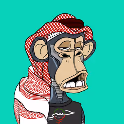 Habibi Ape Club #2803