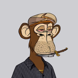 Habibi Ape Club #3244