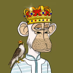 Habibi Ape Club #3427