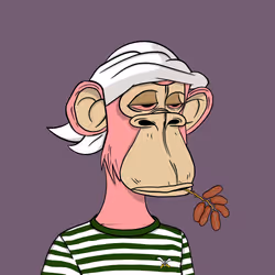Habibi Ape Club #3008