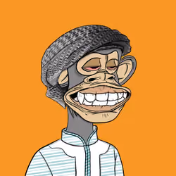 Habibi Ape Club #3262
