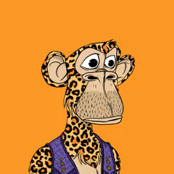 Habibi Ape Club #1637