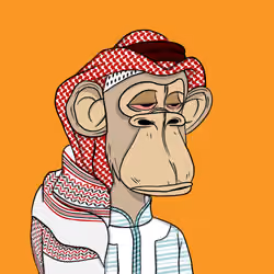Habibi Ape Club #998
