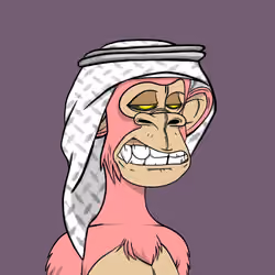 Habibi Ape Club #3254
