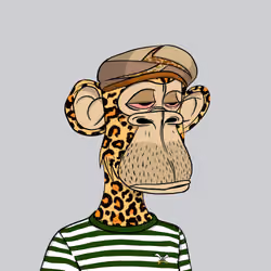 Habibi Ape Club #643