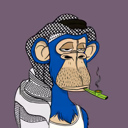 Habibi Ape Club #1154