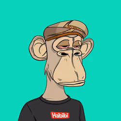 Habibi Ape Club #1662