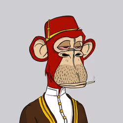 Habibi Ape Club #3862