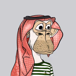 Habibi Ape Club #2670