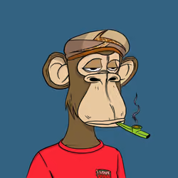 Habibi Ape Club #231