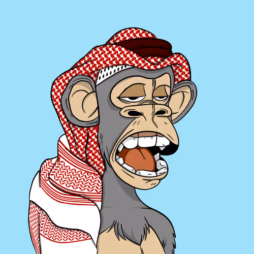 Habibi Ape Club #808
