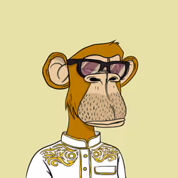 Habibi Ape Club #1141