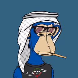 Habibi Ape Club #2273