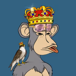 Habibi Ape Club #2080