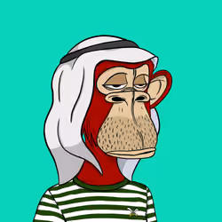 Habibi Ape Club #4174