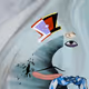 1411
