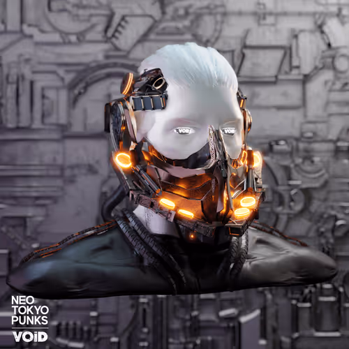 VOiD-IN-THE-PUNKS 03