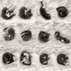 Phases of the Moon