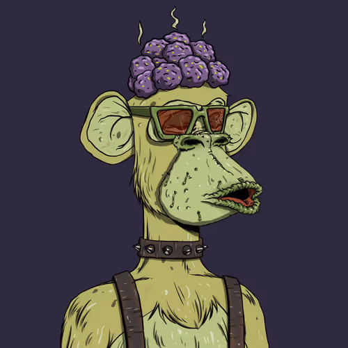 Shit Apes Beast Club